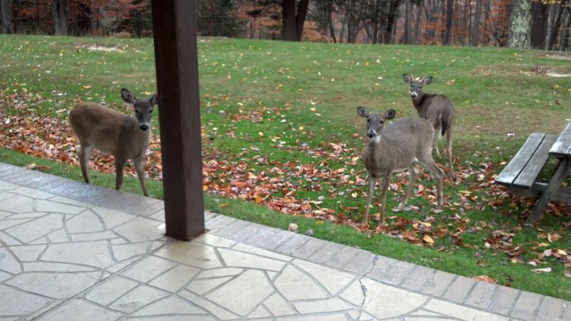 2012 10 21 09 08 13 396