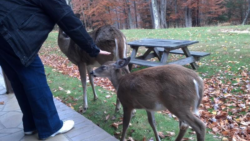 2012 10 21 09 09 33 154