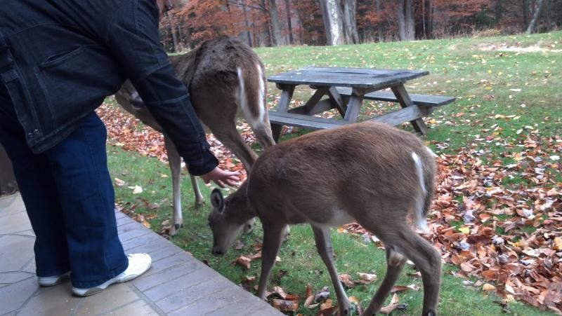 2012 10 21 09 09 35 213