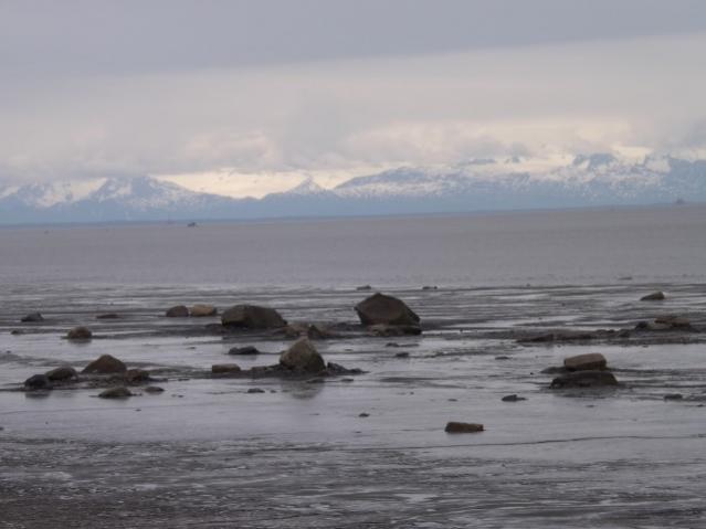 2013 Cook Inlet