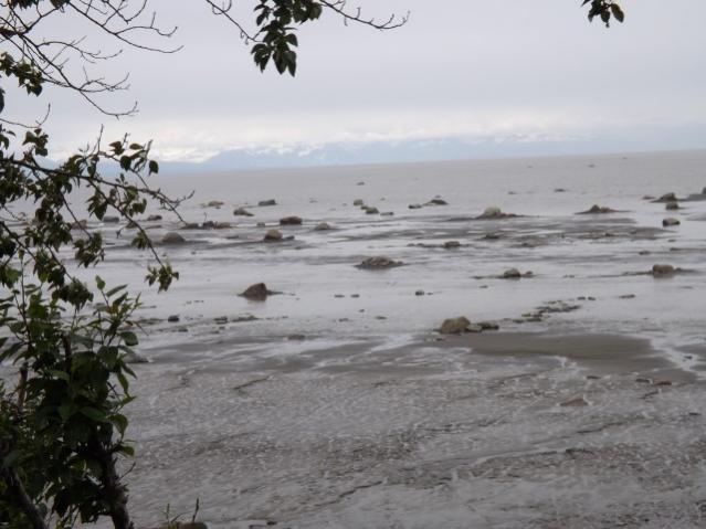 2013 Cook Inlet