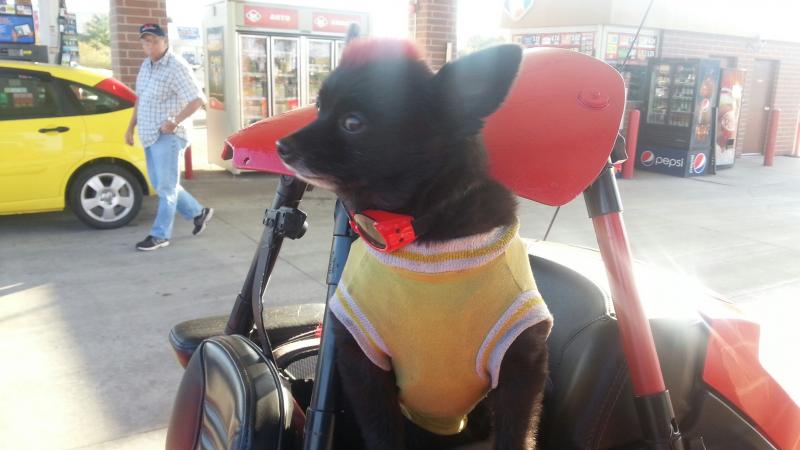 20131018 171645 resized