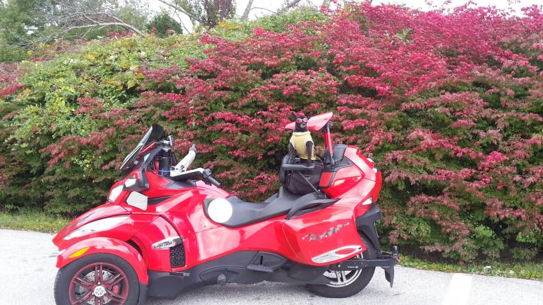 20131021 171741 resized