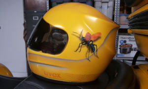 20170530 082508 001b