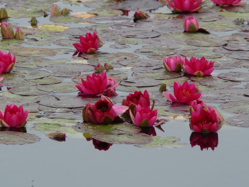 26June2012 Normandy Landing Beaches (34)