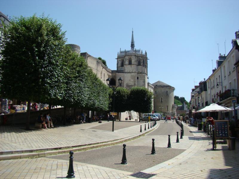 28June2012 Ambois Chateaux (3)