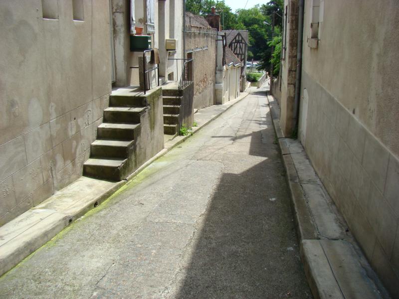 28June2012 Ambois Leonardo Da Vinci (3)