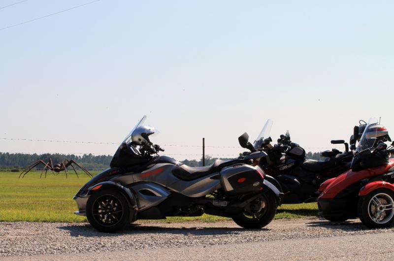 3 Spyders and a Spider