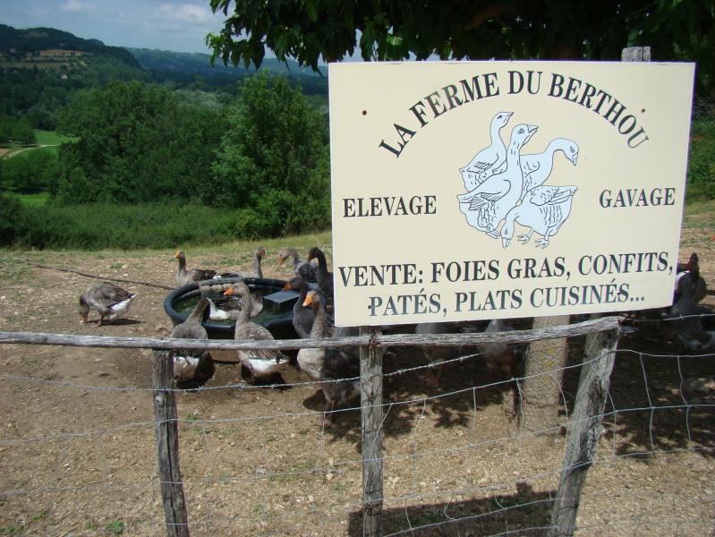 30June2012 Rocamadour (1)