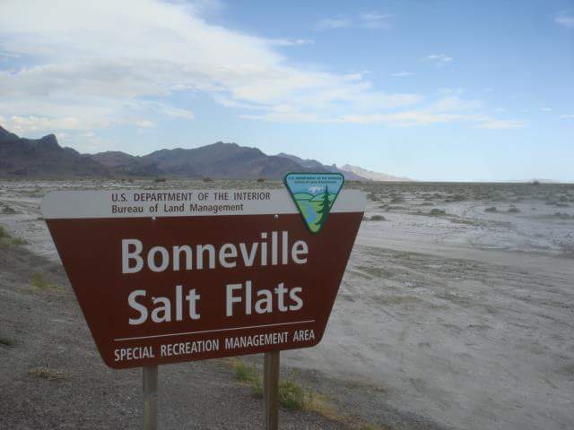 315096 2141601311209 3132020 n