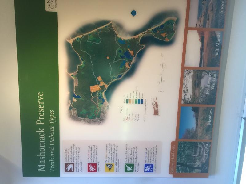 38AA593F 9FBF 438A B965 3C7D089006FD