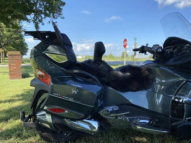 395EC327 27CA 412E 8AAE C3D6440C7000