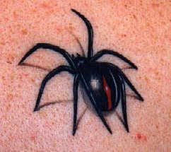 3d spider tattoo