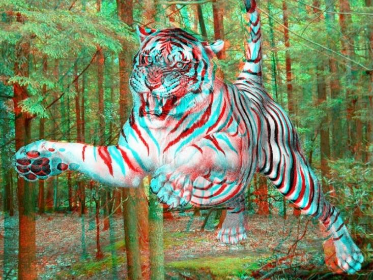 3D Tiger