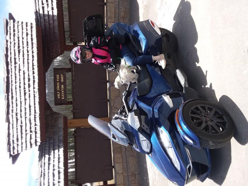 3E5E418C 3B2B 4C9D 8688 5B2422D14D63