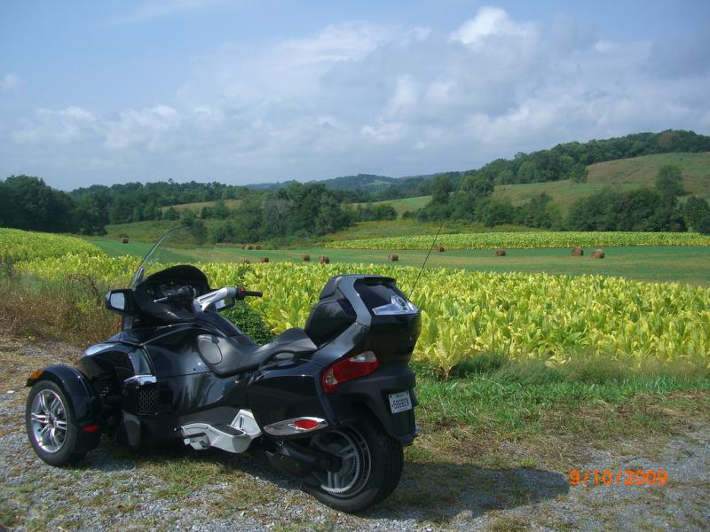 4125091667 918b2e6792 b