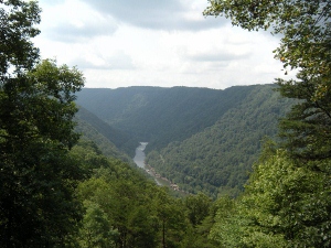 426856 4257385313465 555120907 n (300x225)