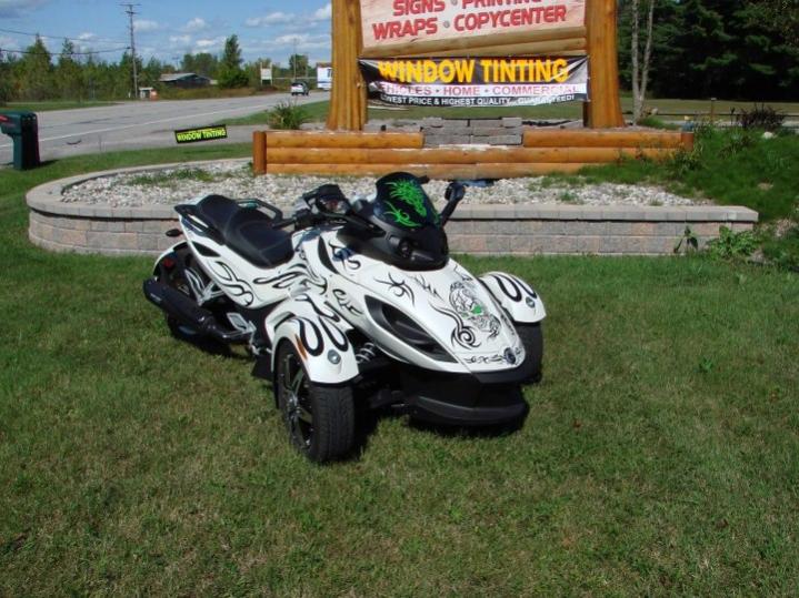 44262 387849797953235 436693828 n