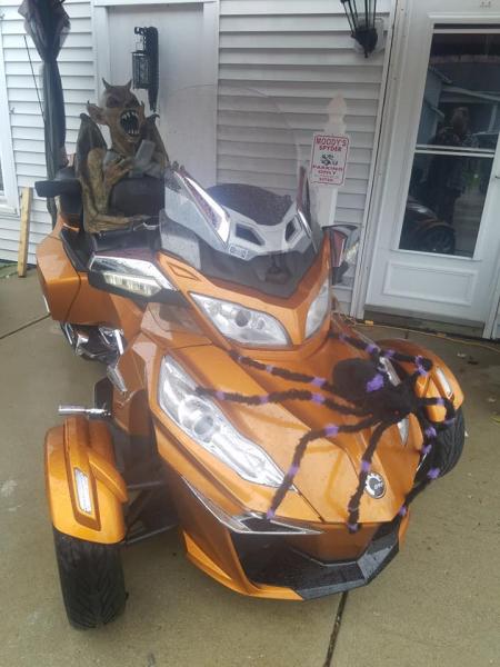 45218047 2353718861311459 2717087845792612352 n (1)