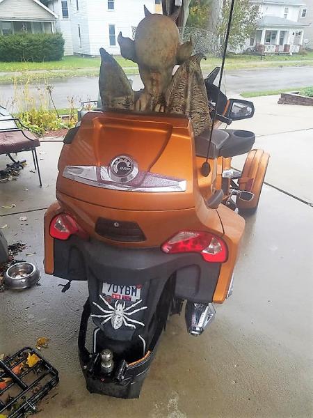 45392881 2355283904488288 4562266977963343872 n (1)