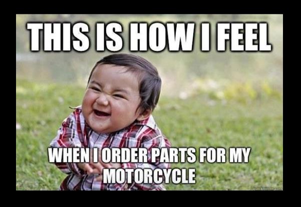 482381 487091931345601 2018340567 n