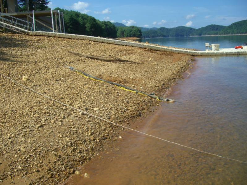 $5000.00 bungee cord