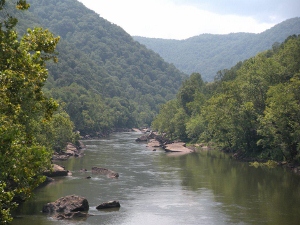 547936 4257390793602 984311639 n (300x225)