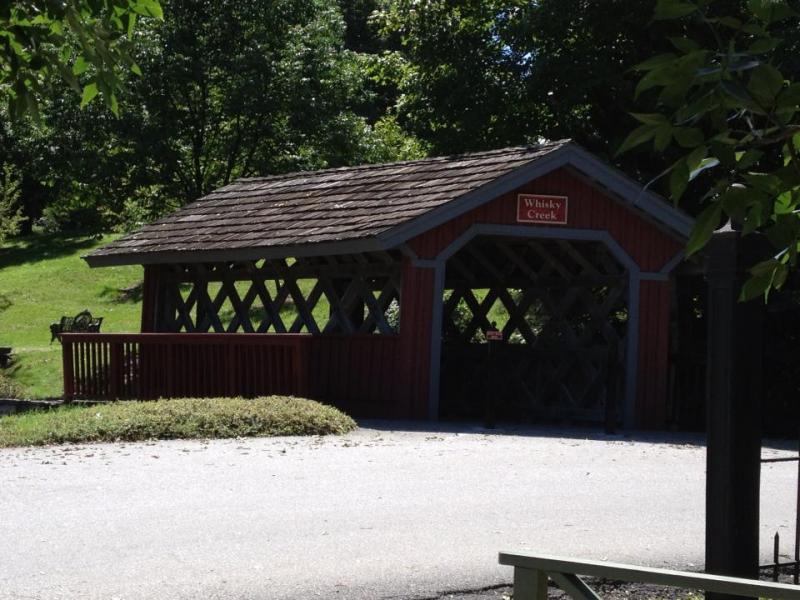 58245 3173614316807 1987188936 n