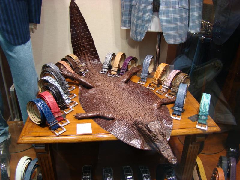 5July2012 Lyon Paris 135