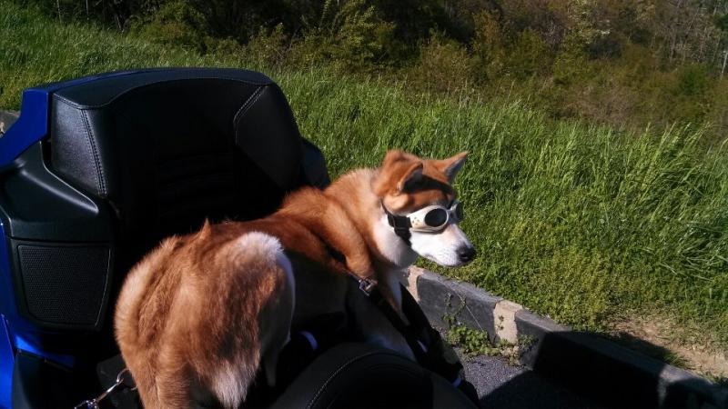 601769 481646195239774 1391717258 n