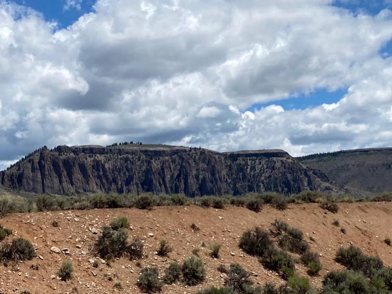 7F345252 EF71 4E37 9F14 49A8A02BBCC4