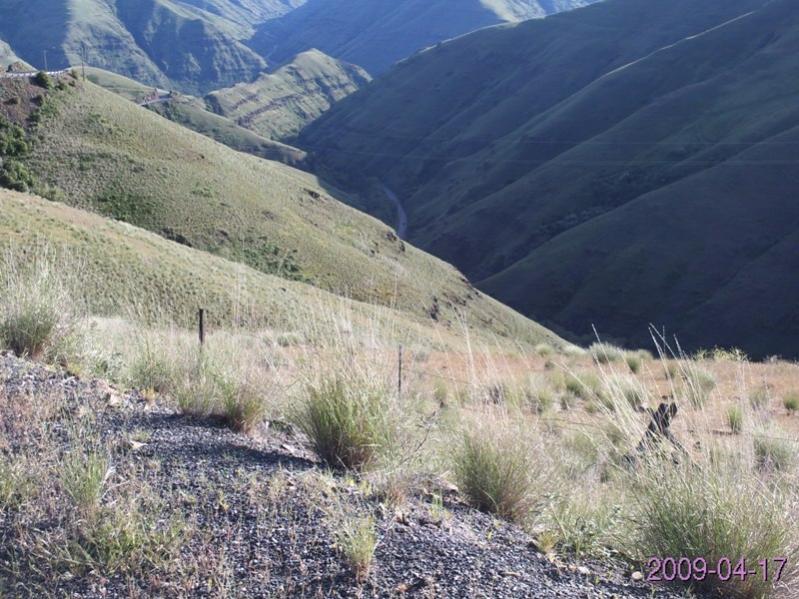 800x600 Drop into Enterprise, OR 9