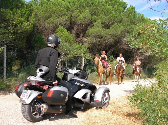 9 + front of a live animal 25p
106 horses meets 3 horses