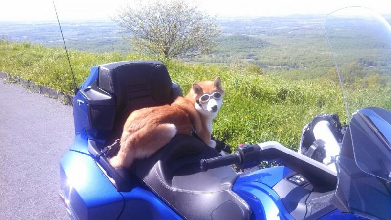 946088 481646315239762 876422016 n