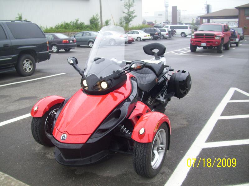 A damp sypder in Fredericton, New Brunswick.