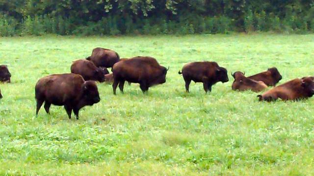 A nice surprise coming around a long, sweeping curve.