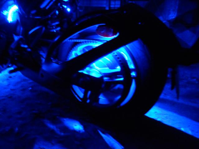 Accent Stingerz Lucky's Ride