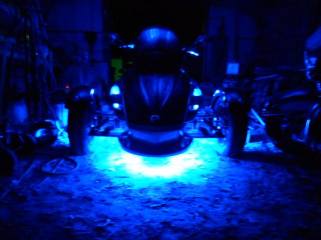 Accent Stingerz Lucky's Ride