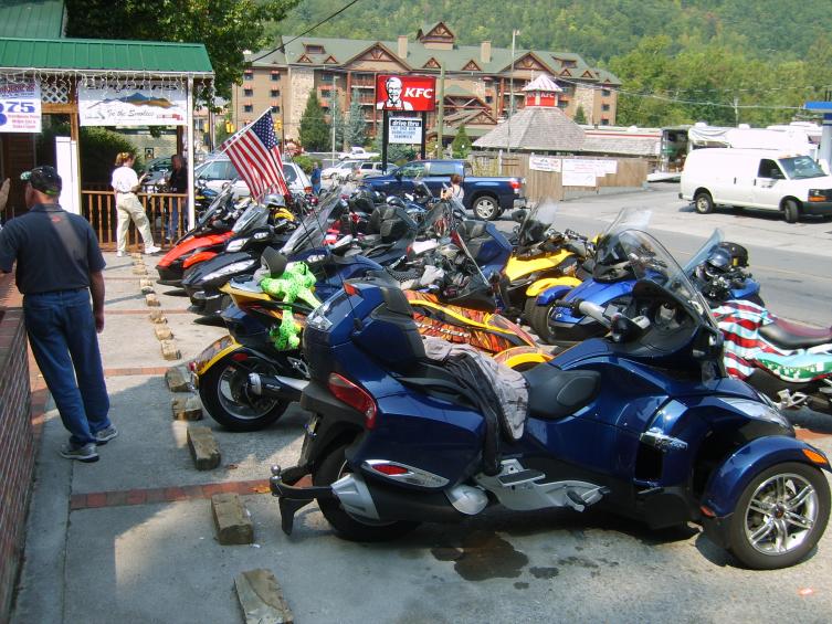 All kinds of spyders at the Smokies Bar and Grill in Gatlinburg