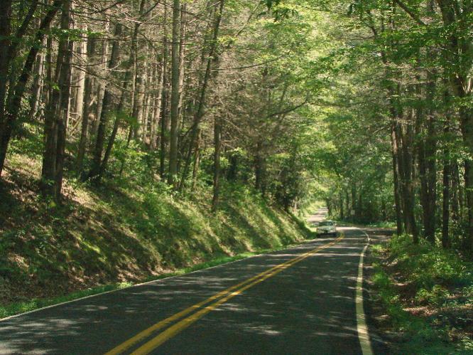 Along Wayah Road on the way to Wayah Bald