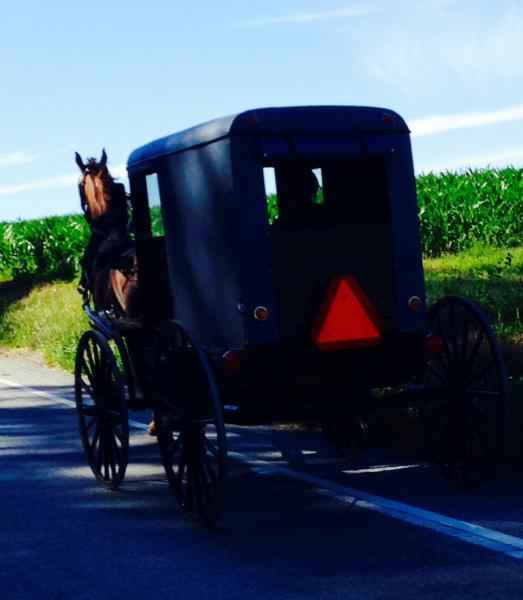 Amish Spyder.....


01ba4f711b6313e790f97b4d3d220ce3a89ded5cb9