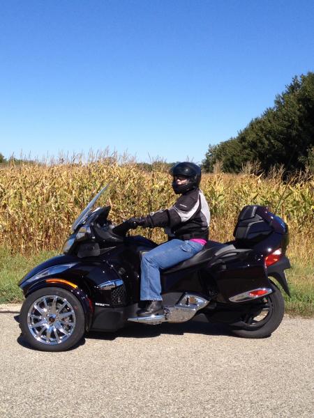 Amongst the corn....