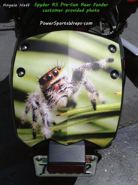 Angela Naff  RS Rear fender