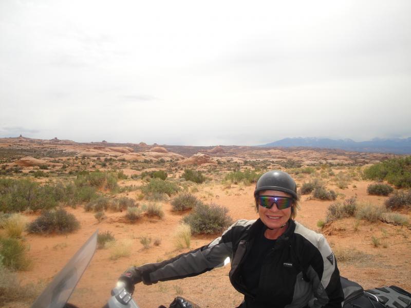 Arches National Park, Utah - Petrified Dunes