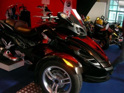 austrian-Rotax-pS-how