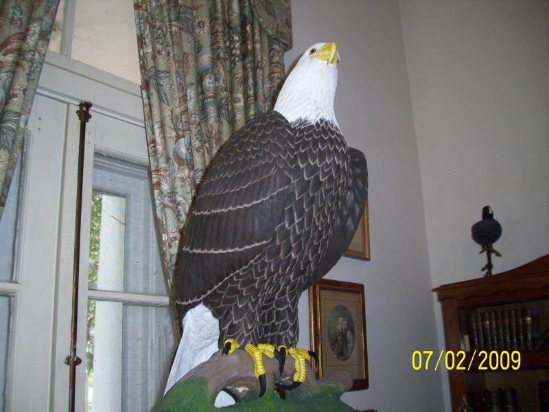 Bald eagles making a come back; same artist.