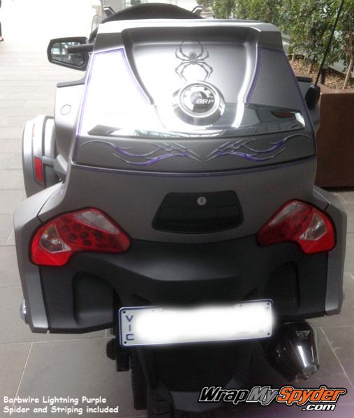 Barbwire Lightning Purple