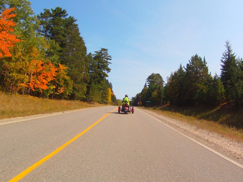 Beautiful maple trees along the road.