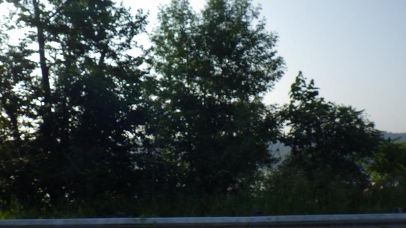 Beautiful start to the day on the way to Mora to meet up with our other MN Spyderlovers.