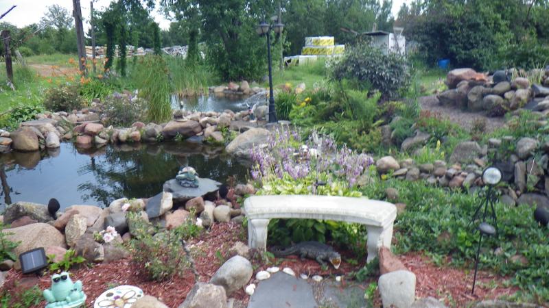 Beautiful water garden at our host home - Caswells - thanks for the meal after the parade!